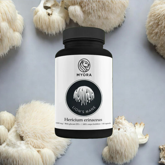 LION’S MANE